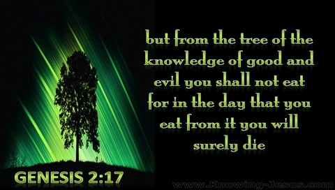Genesis 2:17 Tree Of Knowledge Of Good And Evil (green)